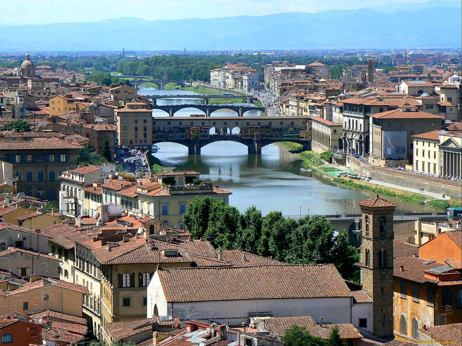 fiorenza, , , 